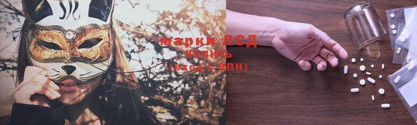 сатива Пересвет