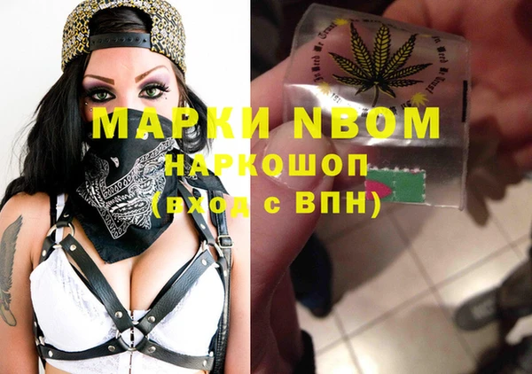 сатива Пересвет