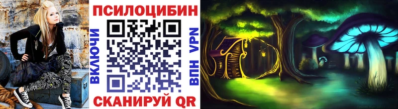 Псилоцибиновые грибы GOLDEN TEACHER  OMG tor  Бодайбо  закладки 